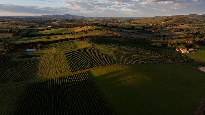 Aerial view of e'Stellar Estate vineyard at Dixons Creek, Yarra Valley