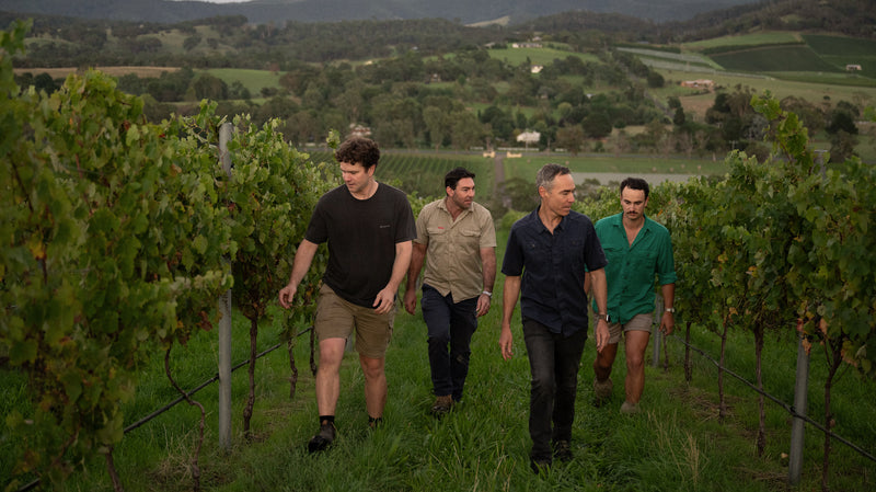 The team at e'Stellar Estate walking through a vineyard with a scenic landscape in the background