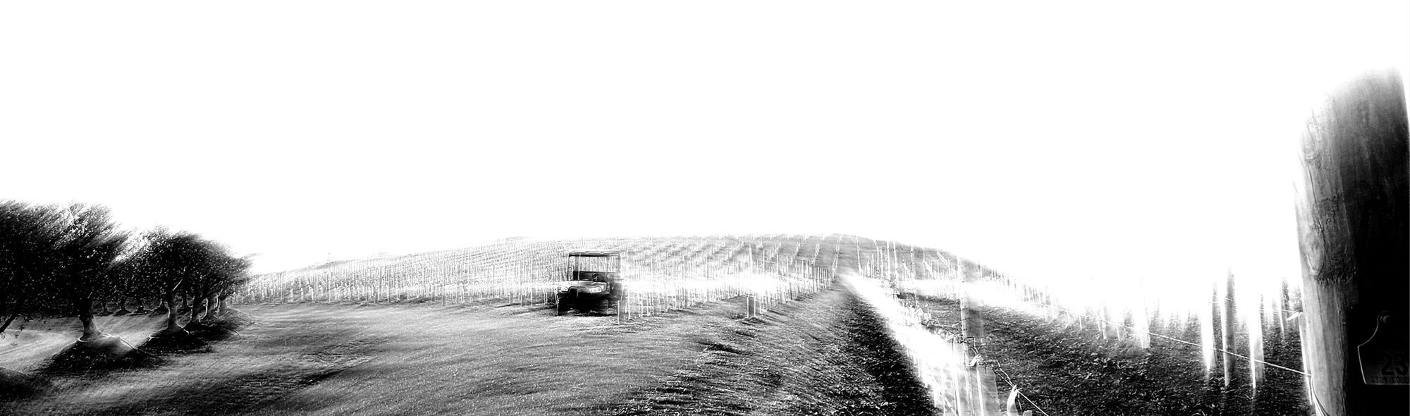 estellar-estate-vineyard-tractor-dixons-creek